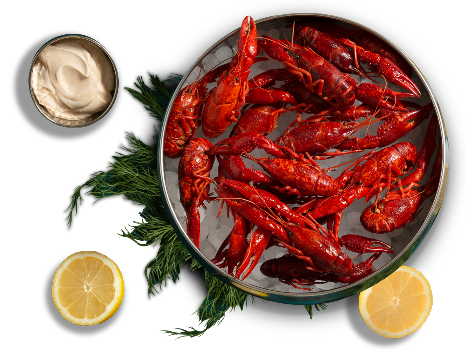 crawfish